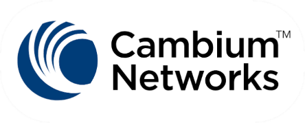 cambium